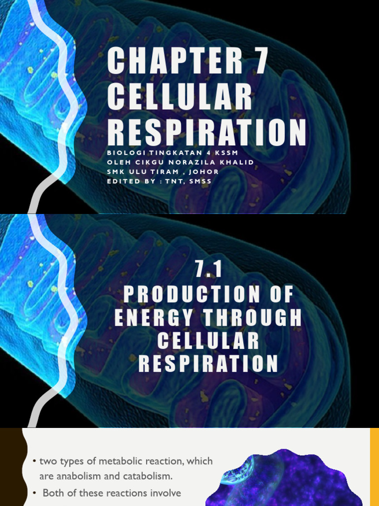 Overview of Cellular Respiration | PDF | Cellular Respiration | Glycolysis