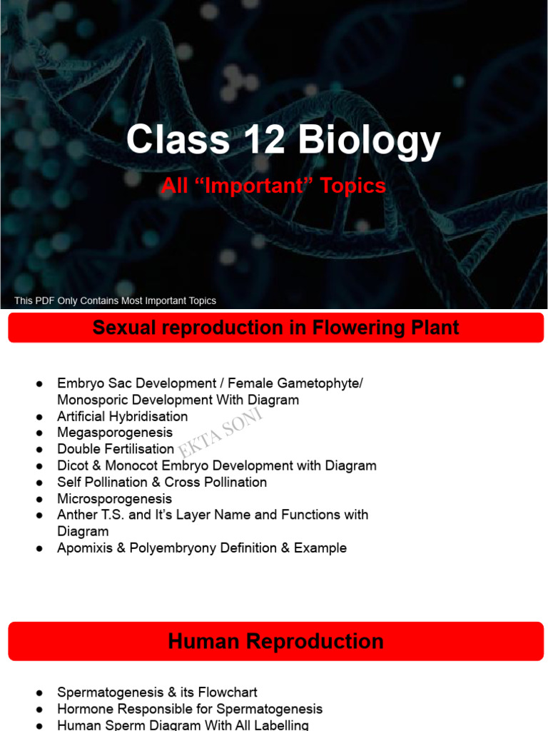 Key Class 12 Biology Concepts Pdf Pdf Fertilisation Dna