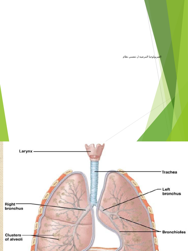 Pathiophysiology of Res System L4 | PDF