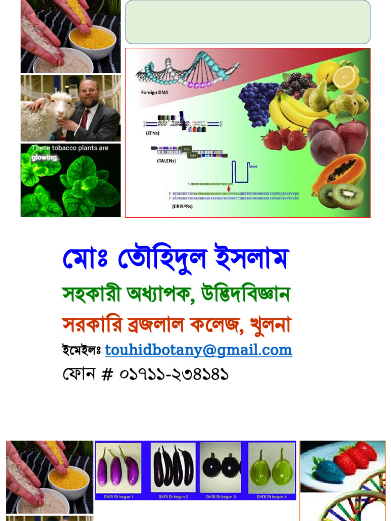 Biotechnology h-4 | PDF