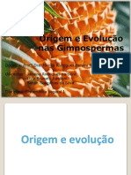 Gimnosperma - Origem e Evoulo - 2011