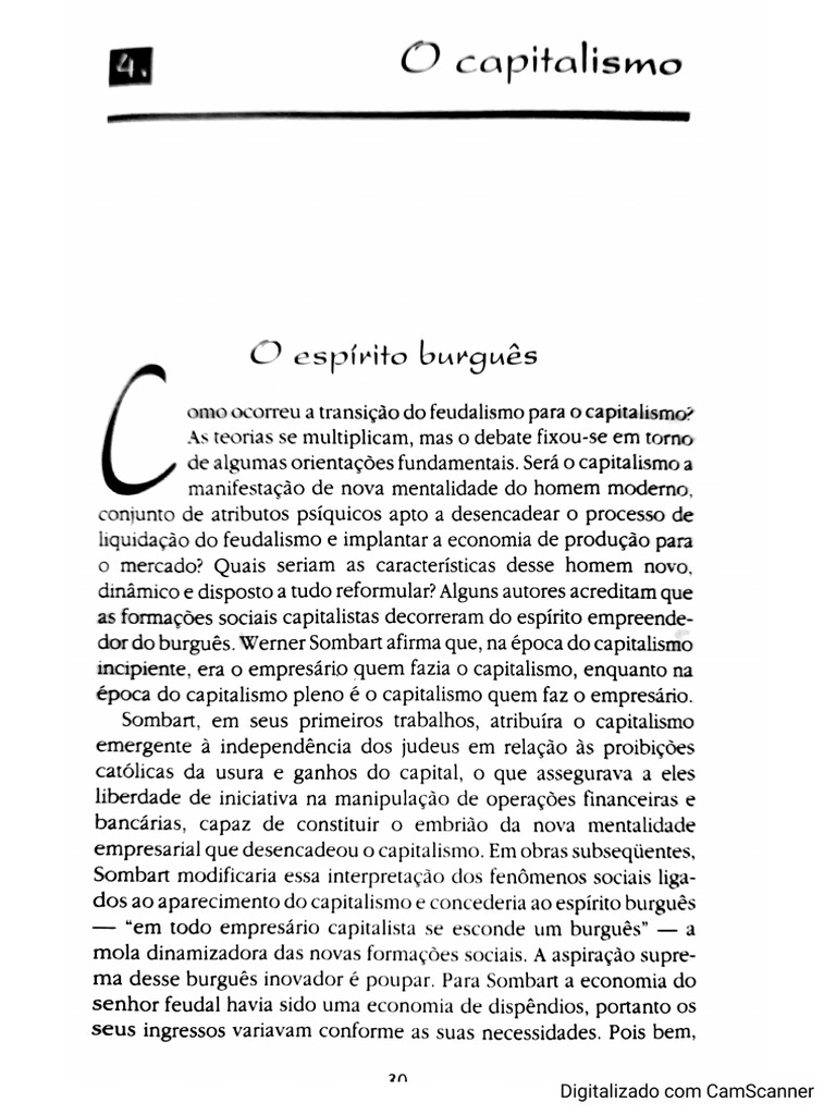 Texto Capitalismo | PDF