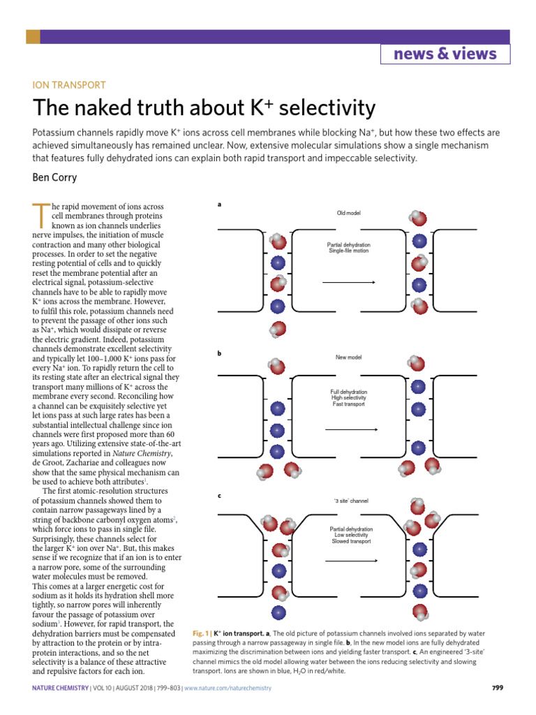 The Naked Truth About K+ Selectivity | PDF | Ion Channel | Cell Membrane