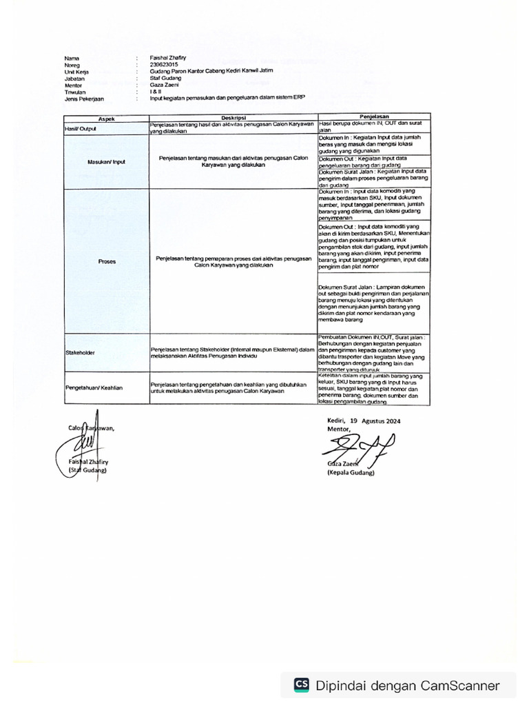 Mentoring Form | PDF