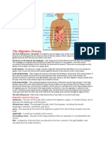 Digestive System