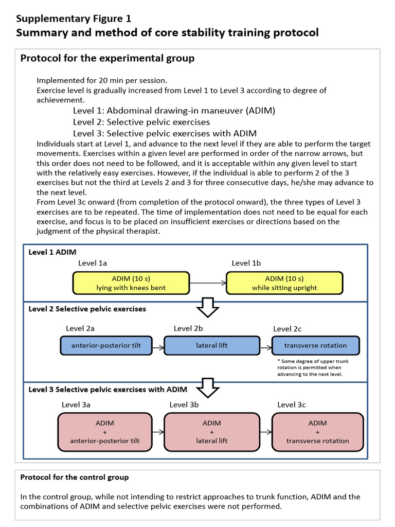 Core Stability Training Protocol Guide | PDF | Pelvis | Vertebral Column