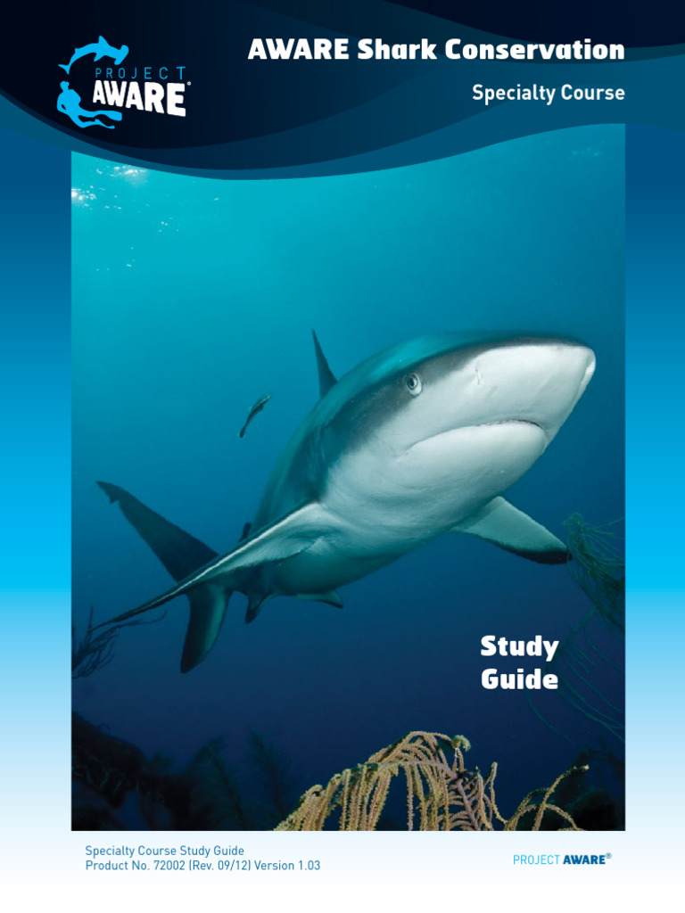 Shark | PDF | Sharks | Predation