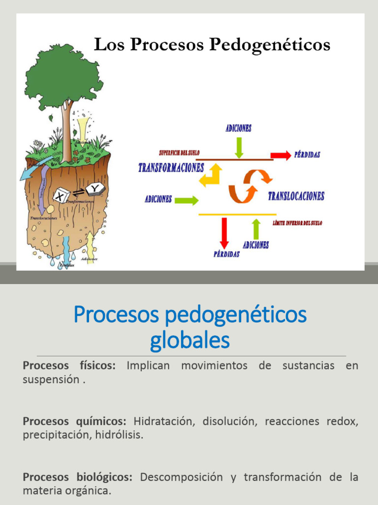 Procesos Pedogeneticos | PDF | Suelo | Ciencia del suelo