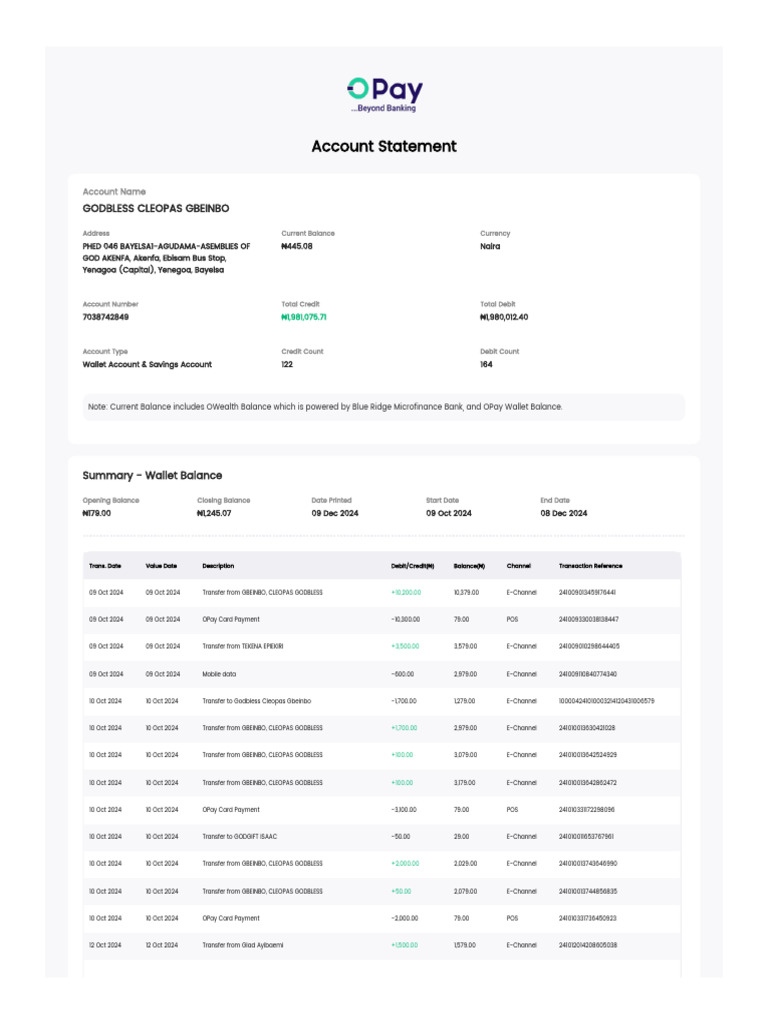 Detailed Account Statement Summary | PDF | Credit Card | Debit Card