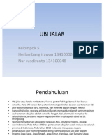 Download UBI JALAR by Sarwo Edi Musyafa SN80735749 doc pdf