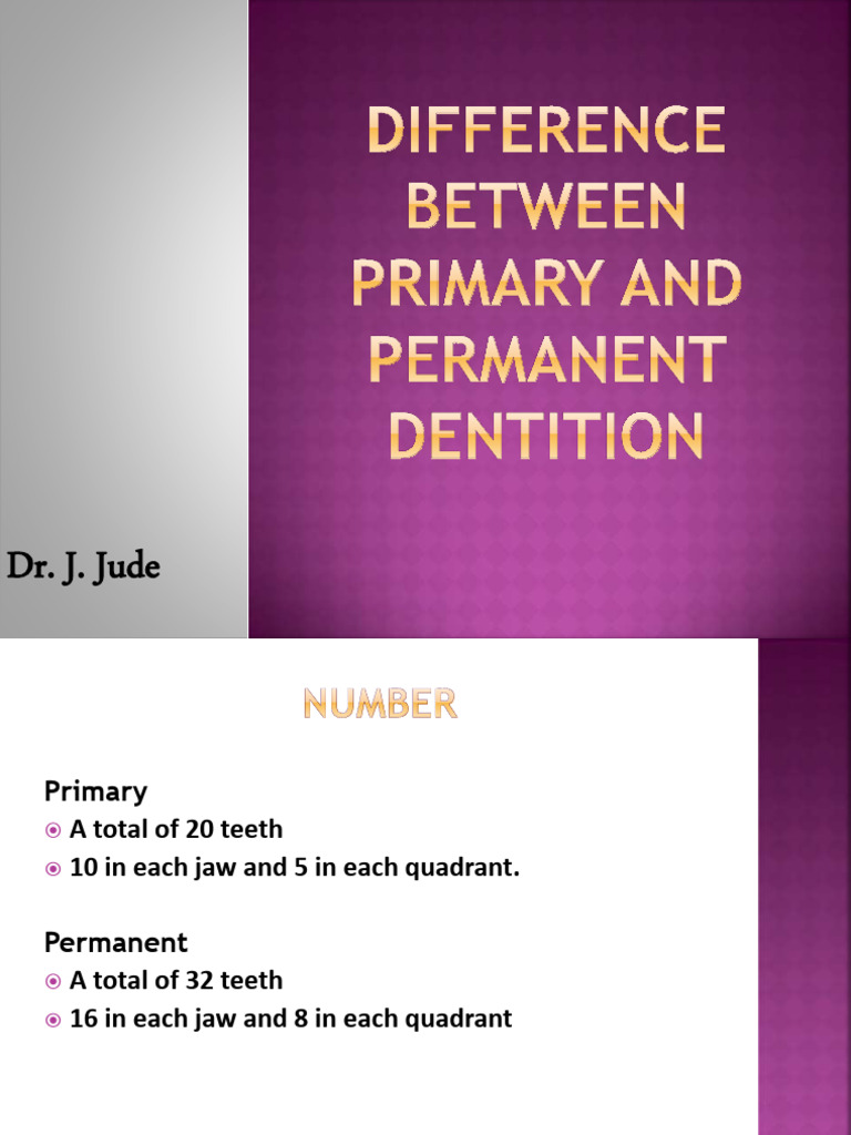 Differences Between Primary and Permanent Teeth | PDF | Tooth Enamel ...