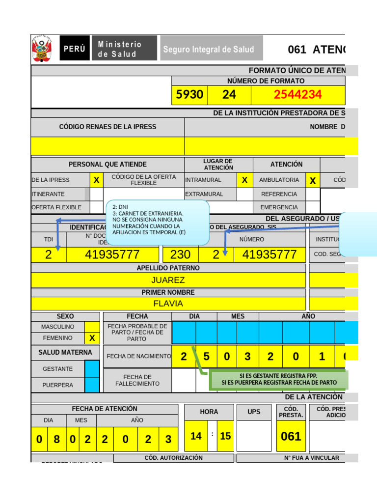 Formato Único de Atención FUA 061 | PDF | Salud pública ...