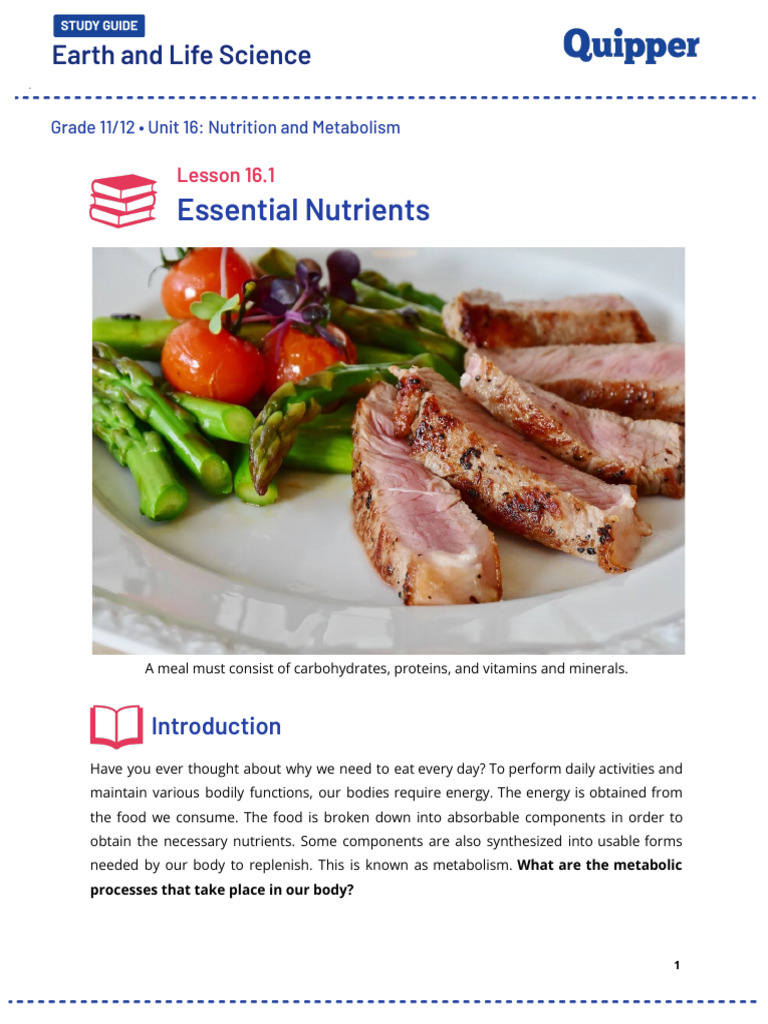 Essential Nutrients 2 Pdf Metabolism Nutrition
