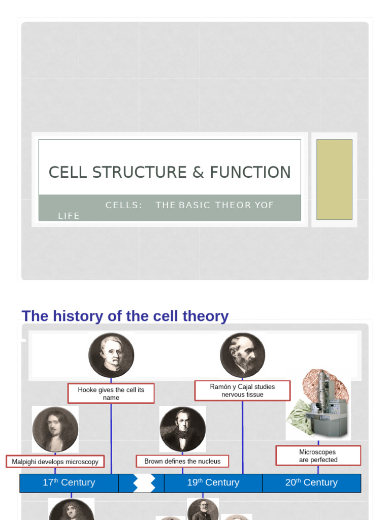 Cell Structure Function Organelles Pdf Cell Biology Cytoplasm