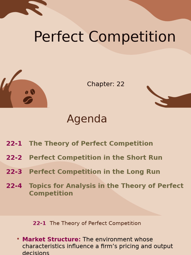 CH 22 PPT | PDF | Perfect Competition | Supply And Demand