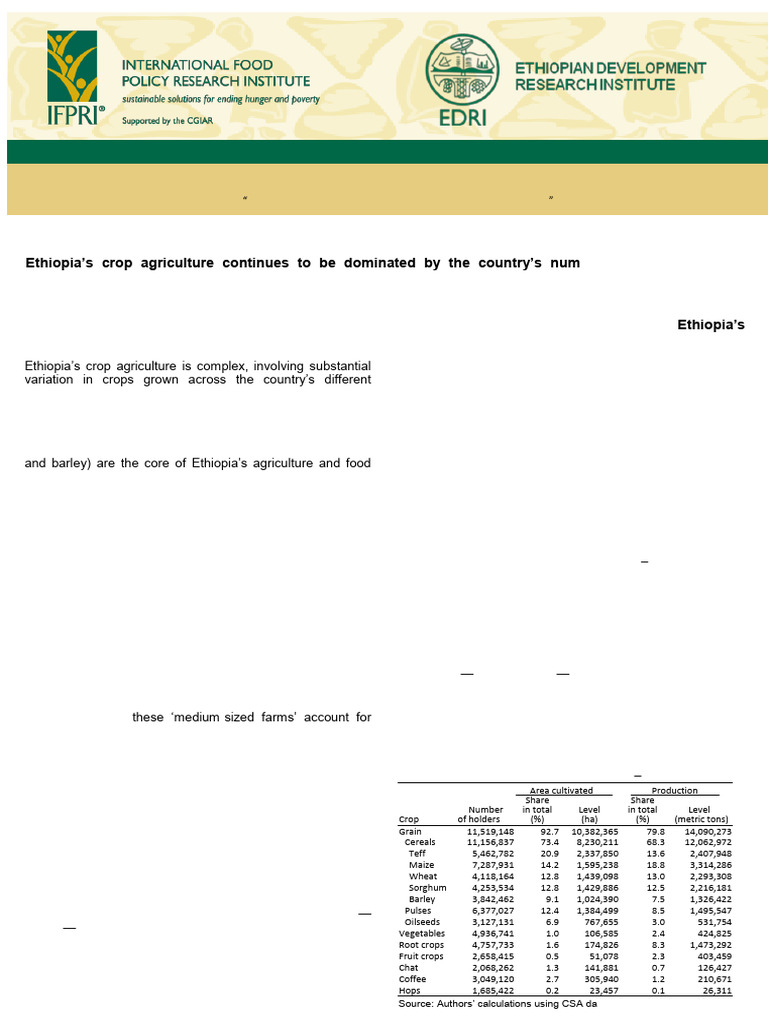 Crop Production Trends in Ethiopia | PDF | Cereals | Agriculture