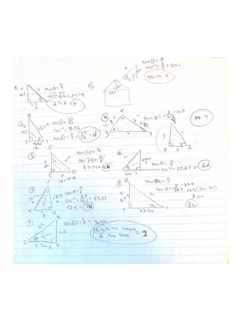 PRE CALC Assignment | PDF