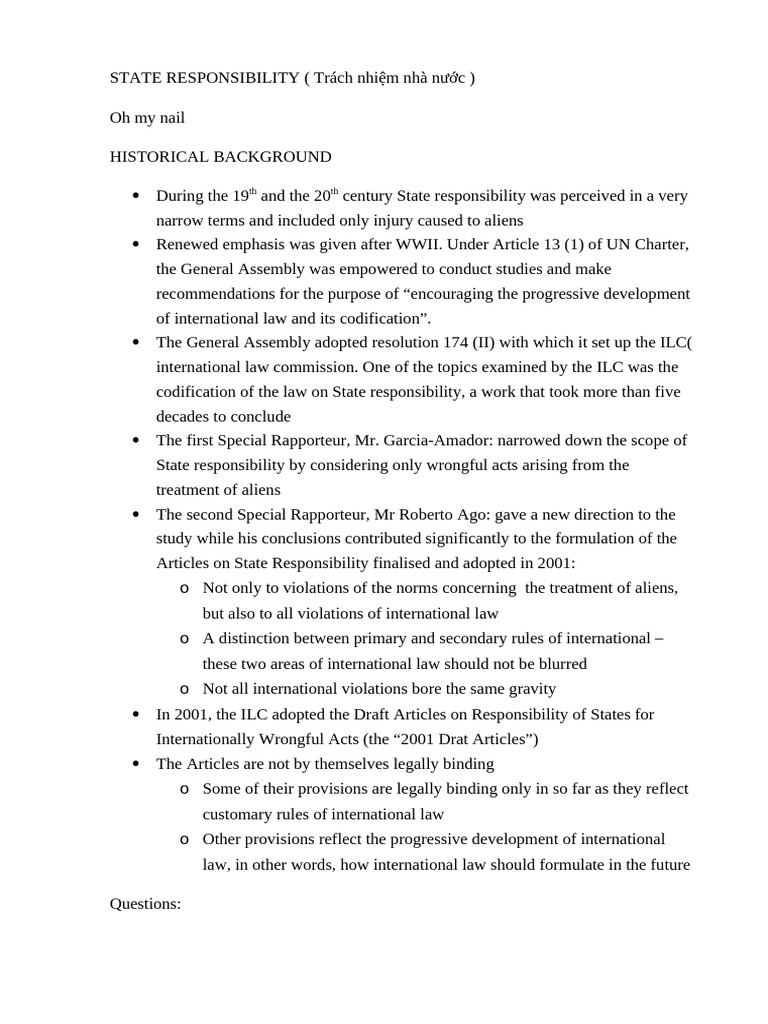 Understanding State Responsibility in Law | PDF | International Law ...