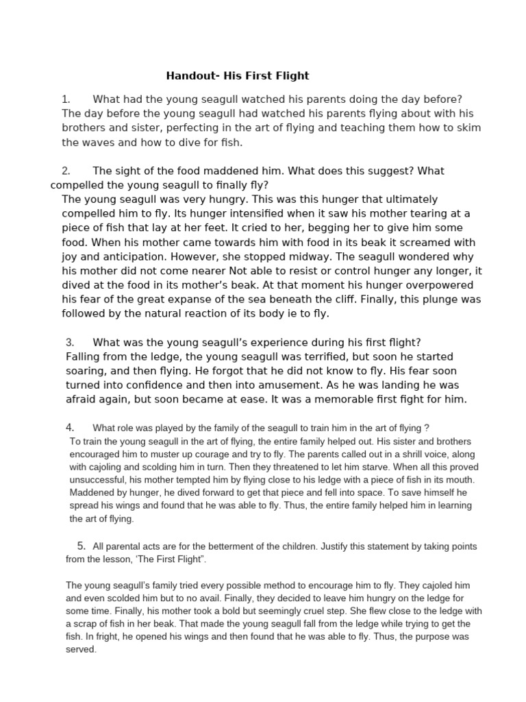 His First Flight-Handout | PDF