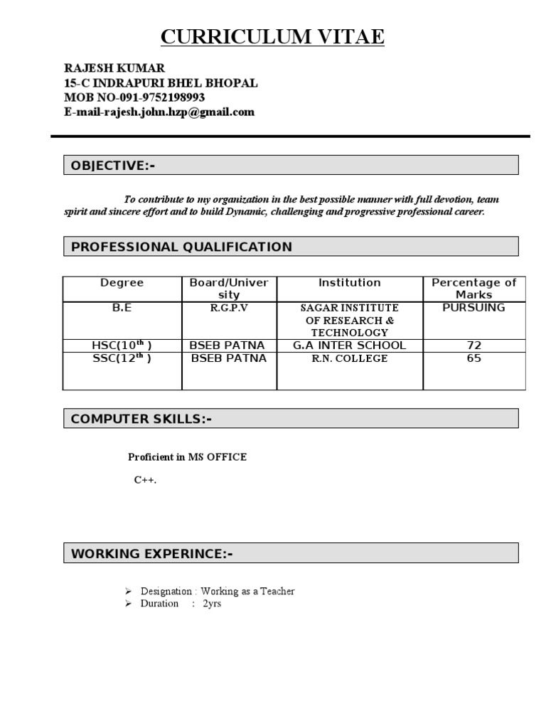 Rajesh Kumar's Professional CV | PDF