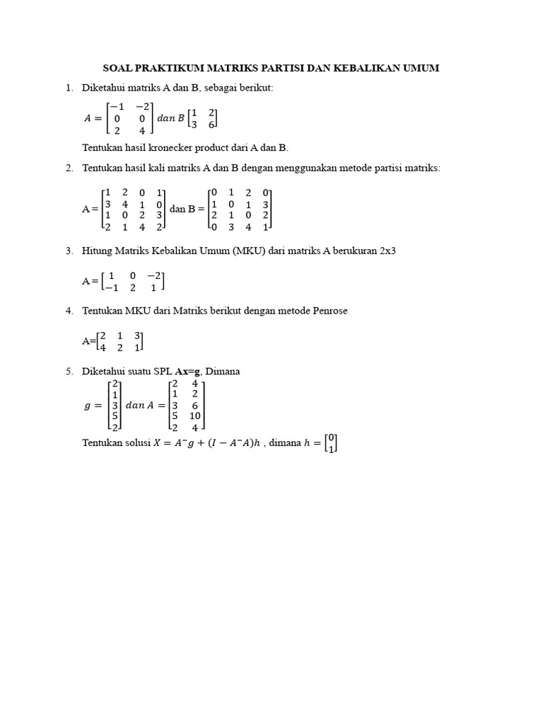 Soal Praktikum Matriks Partisi Dan Kebalikan Umum | PDF
