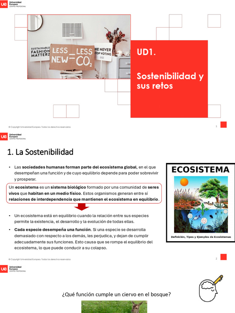 1 - Sostenibilidad y Sus Retos | PDF | Sustentabilidad | Desarrollo ...