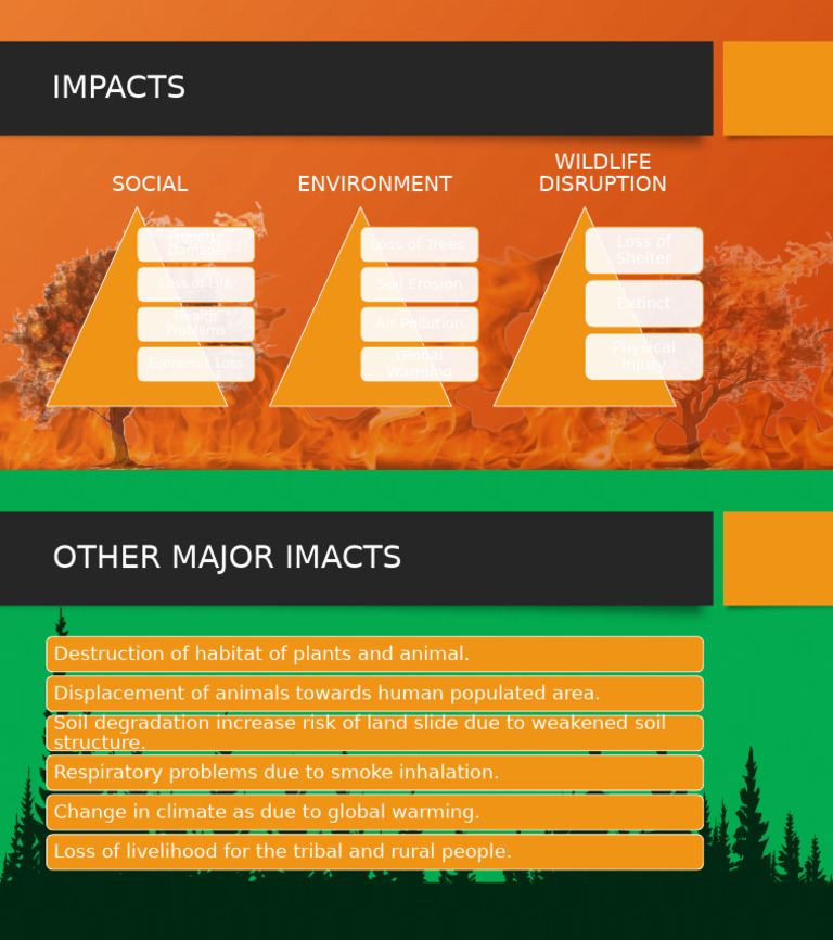 Environmental and Social Impacts | PDF