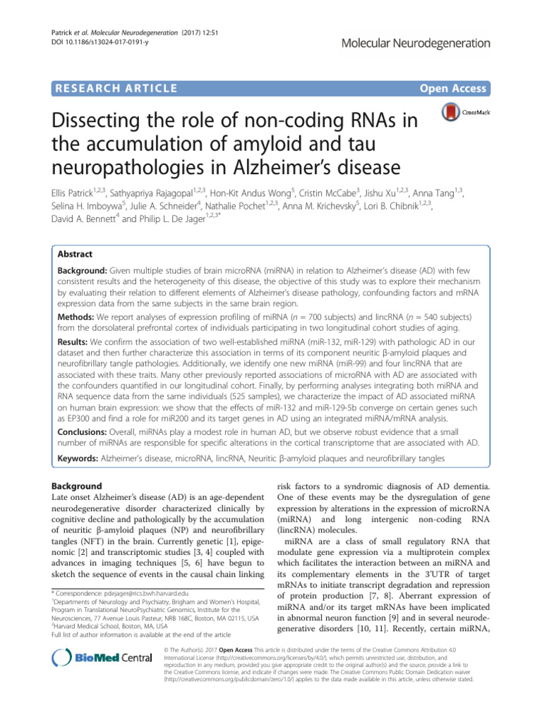 Dissecting The Role of Non-Coding RNAs in The Accumulation of Amyloid ...