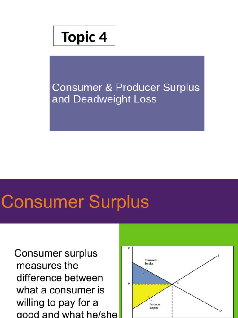 T4 Consumer Producer Surplus And Deadweight Loss Pdf Economic