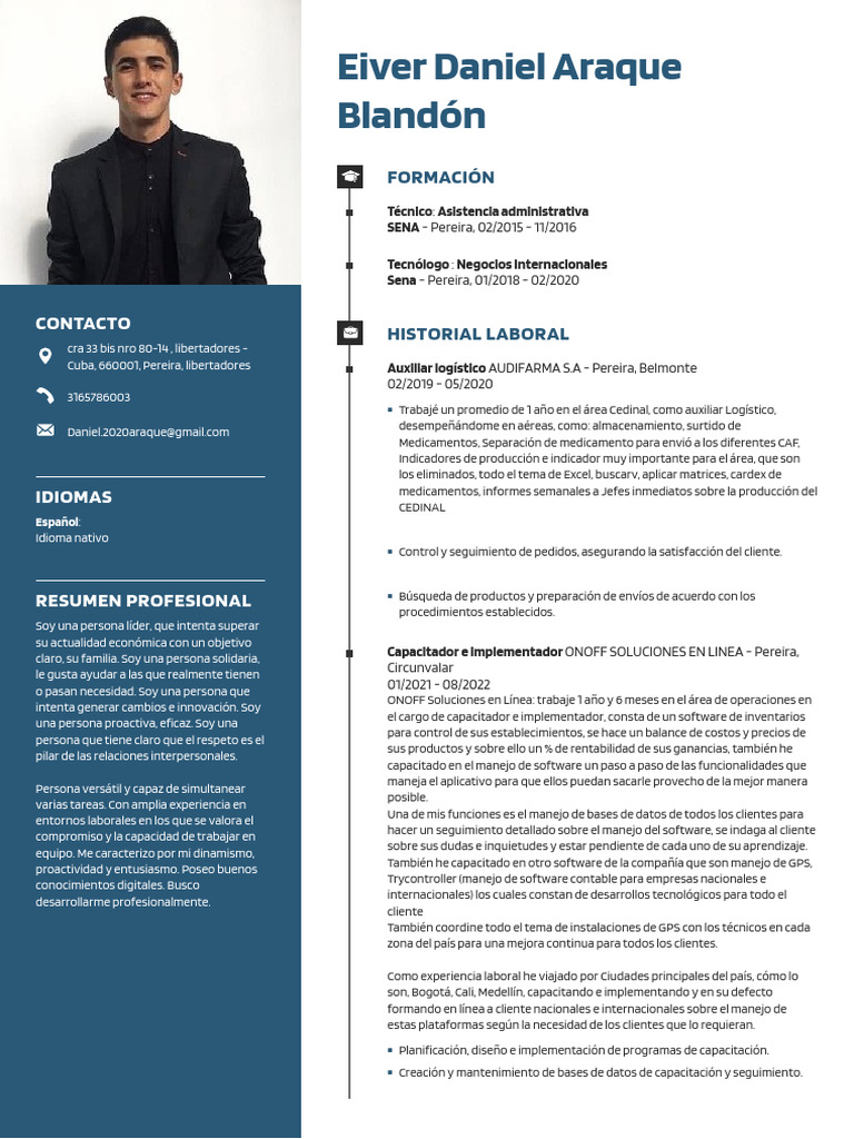 Perfil Profesional de Eiver Daniel Araque | PDF | Software | Informática