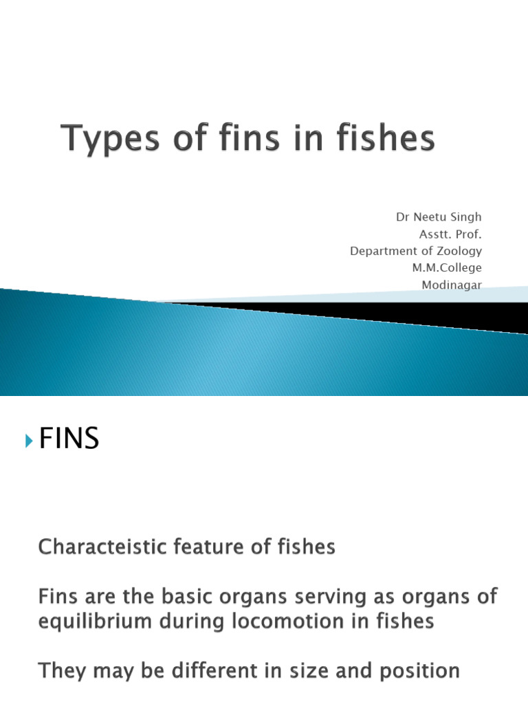 Types of Fins in Fishes | PDF