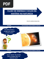 Ciencias - Aula Ciclo Da Materia e o Fluxo de Energia - 4 Ano | PDF ...