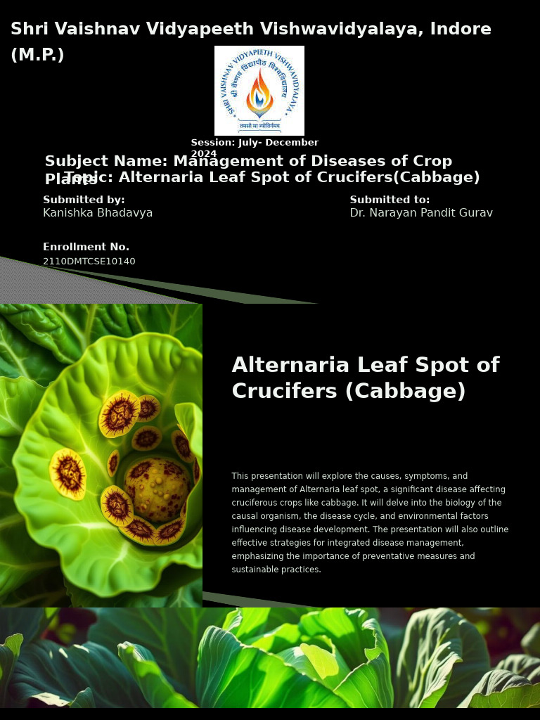 Managing Alternaria Leaf Spot in Cabbage | PDF | Cabbage | Branches Of ...