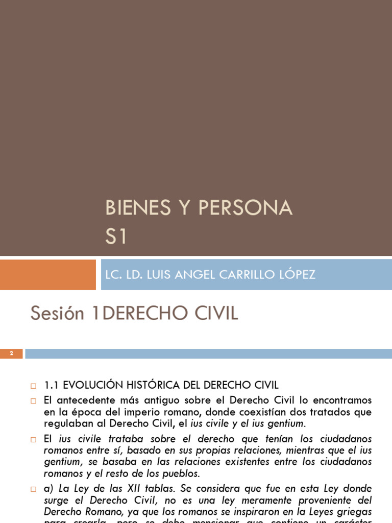 BIENES Y PERSONA S1 | PDF | Derecho Civil (Common Law) | Bienes (Ley)