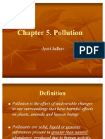 Chapter 5. Pollution