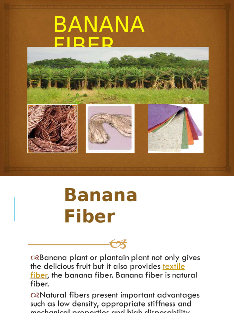 bananafiber su | PDF | Composite Material | Fibers
