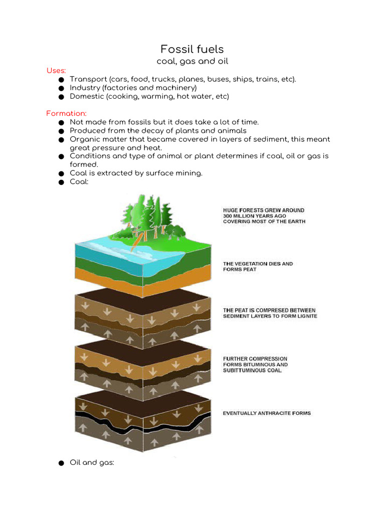 Unit 2 EM | PDF | Electricity Generation | Fuels