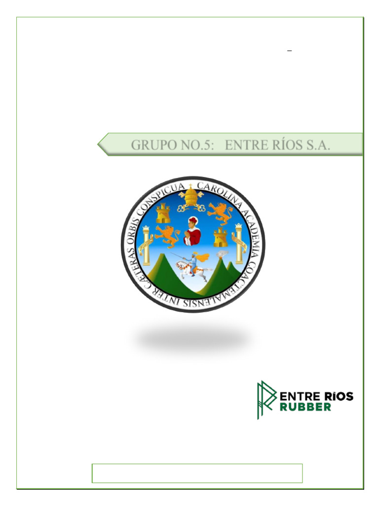 Diagnóstico y Propuesta para Entre Ríos S.A. | PDF | Gestión de ...