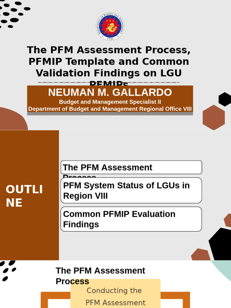 PFM Assessment Process for LGUs | PDF