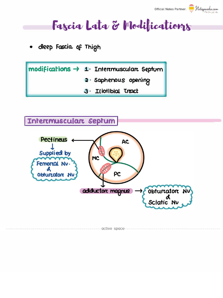 Ashwini Kumar Lower Limb Pdf