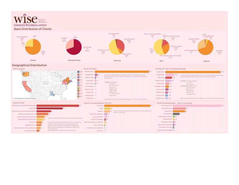 WISE Dashboard | PDF | Race And Ethnicity In The United States Census ...
