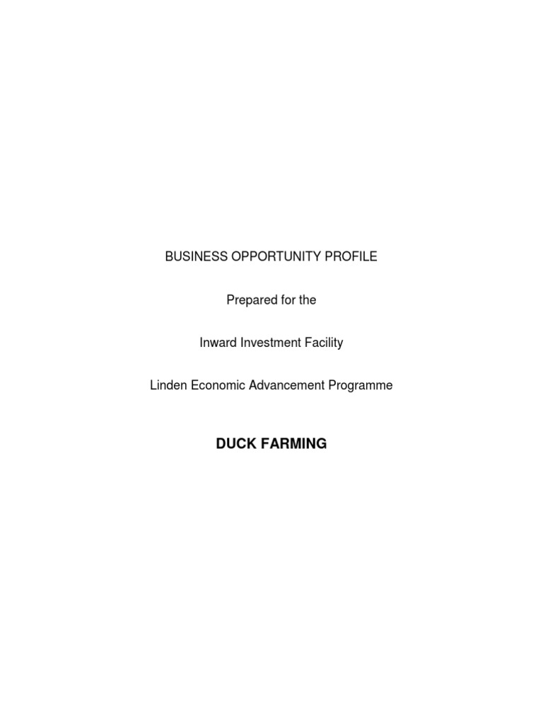 Duck Farming | PDF | Animal Feed | Poultry