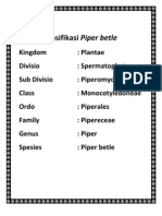 Klasifikasi Piper Betle