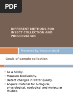 Insect Collection and Preservation Guide | PDF | Insects | Cyanide