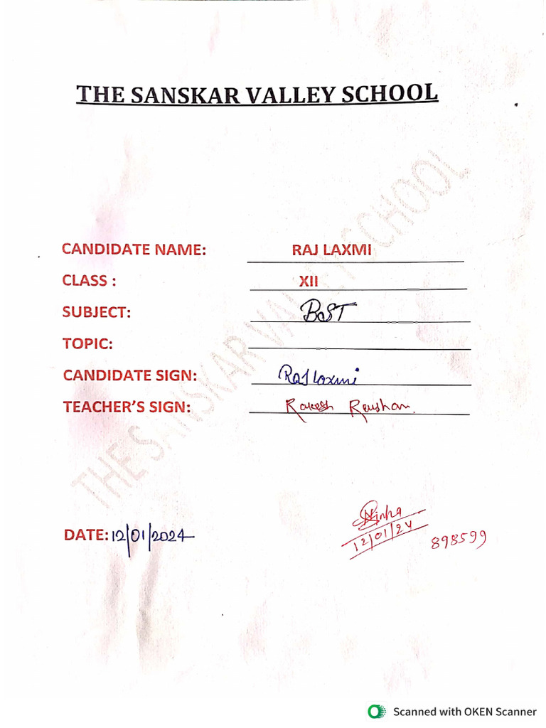 BST Business Studies Practical Copt | PDF