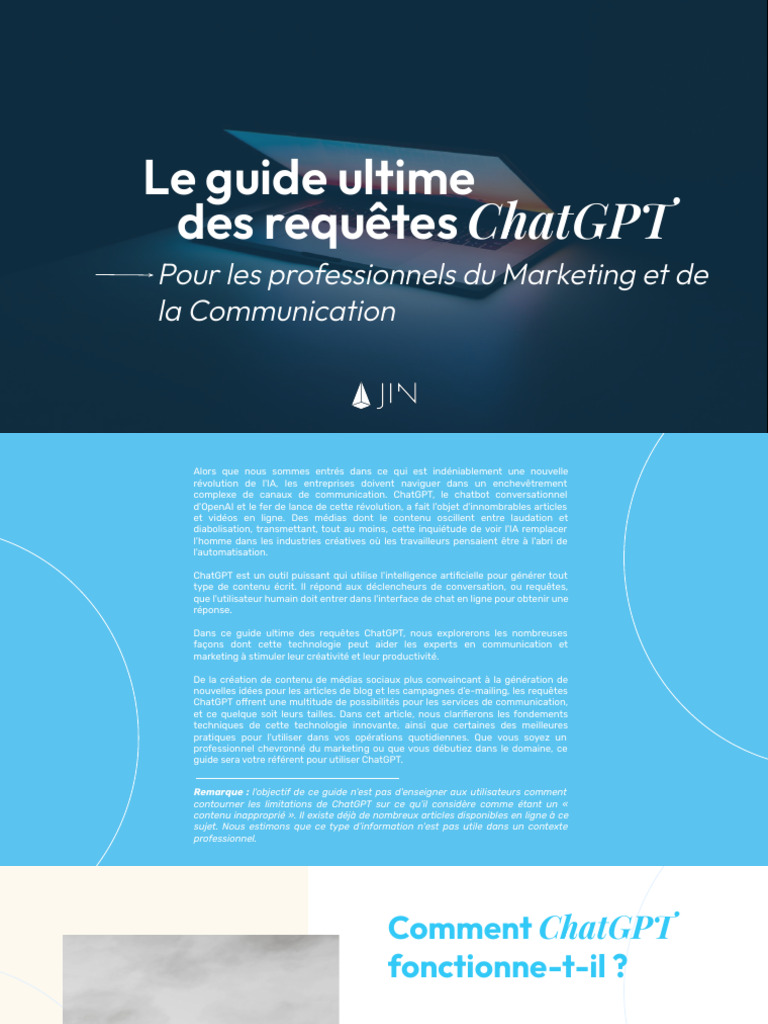 Le Guide Ultime Des Requêtes ChatGPT Pour Les Professionnels Du ...