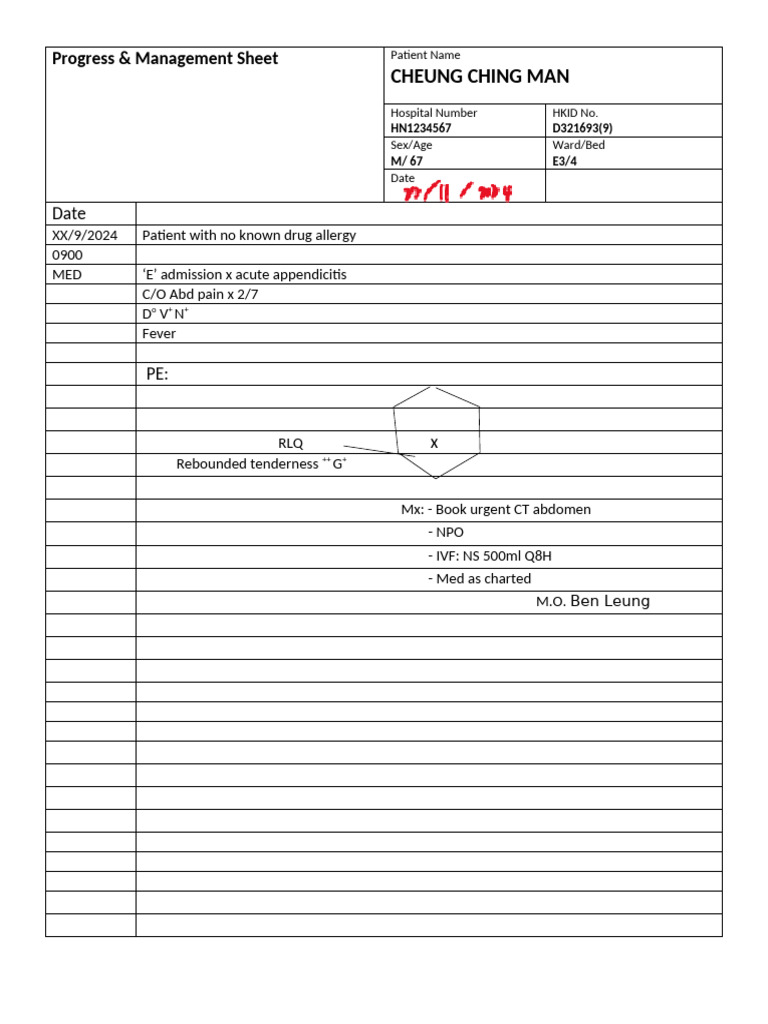 Self-Practice Lab Progress Notes - 2024 | PDF