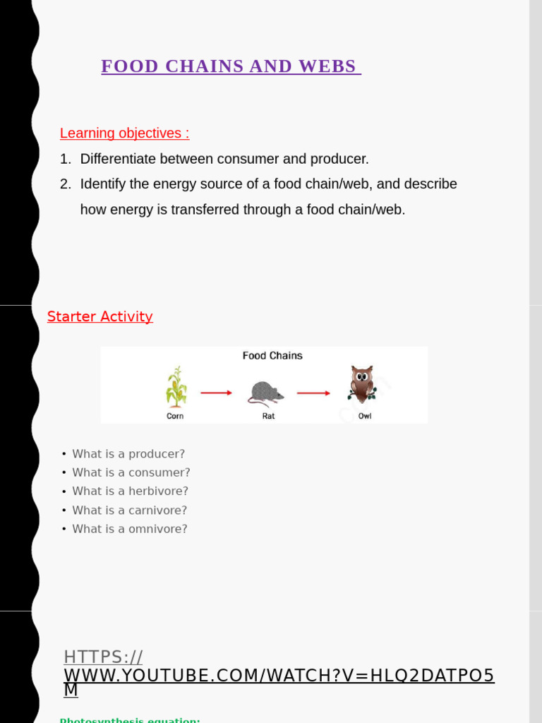 Food Chains and Food Webs | PDF