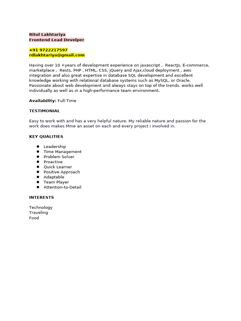 Frontend Lead Developer Profile | PDF