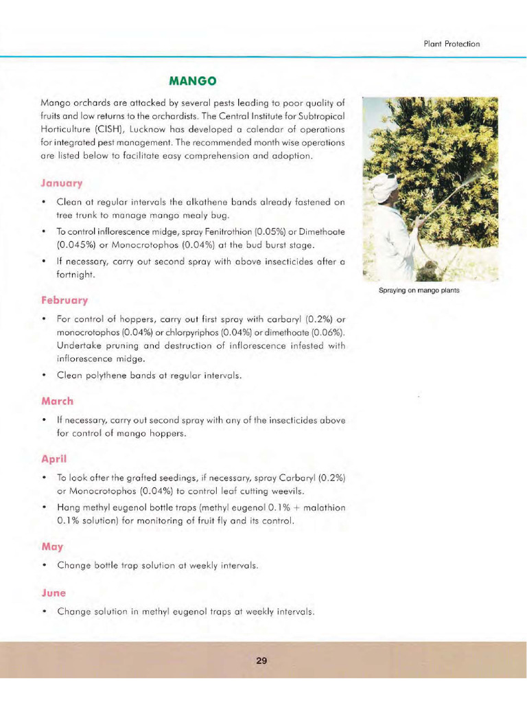14-Plant Protection-IPM for Mango | PDF
